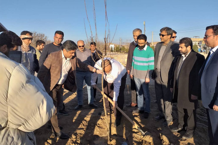 طرح دریافت نهال رایگان تا ۲۲ اسفند ماه تمدید شد