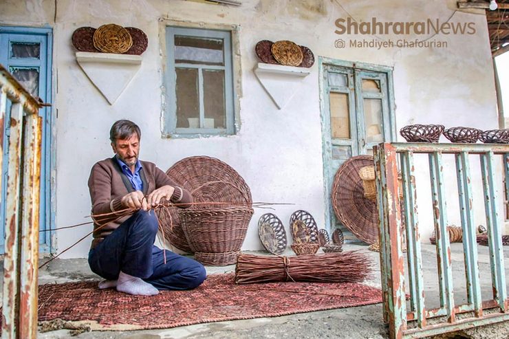 بی سر و سامانی ترکه‌های سرخ ارغوان