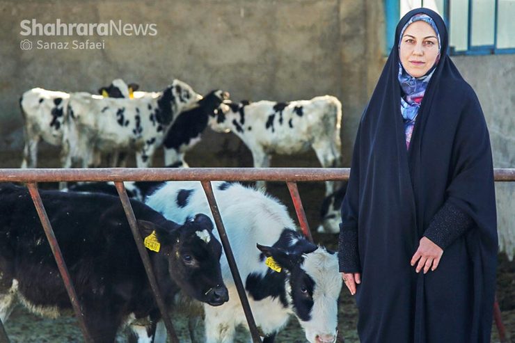 گفت‌وگو با آموزگاری که در کنار تدریس به دامداری مشغول است