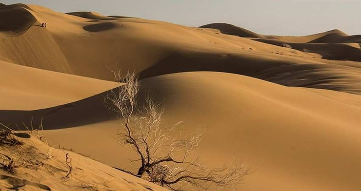 فرسایش باد سالانه ۱۴ میلیارد ریال در جغتای خسارات وارد می‌کند