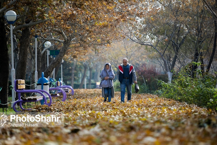 بازنشستگان فرهنگی: رتبه‌بندی به ما تعلق نمی‌گیرد | خواستار دائمی شدن همسان‌سازی هستیم