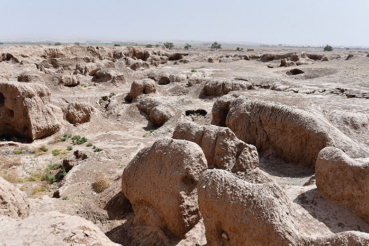 کندوکاو‌های غیرمجاز در روستای زادگاه فردوسی | پاژ در خطر تاراج