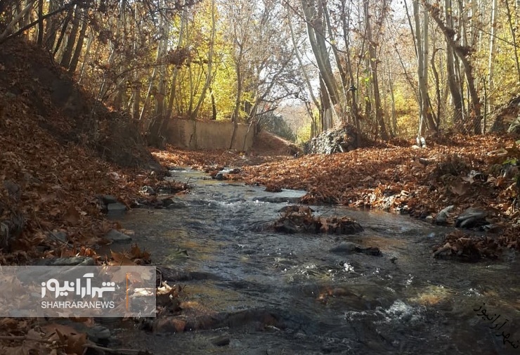 شهروند خبرنگار | خودنمایی پاییز در روستای مایان طرقبه