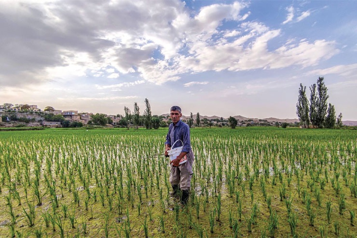 دغدغه کشاورزان مشهدی برای برکت زمین