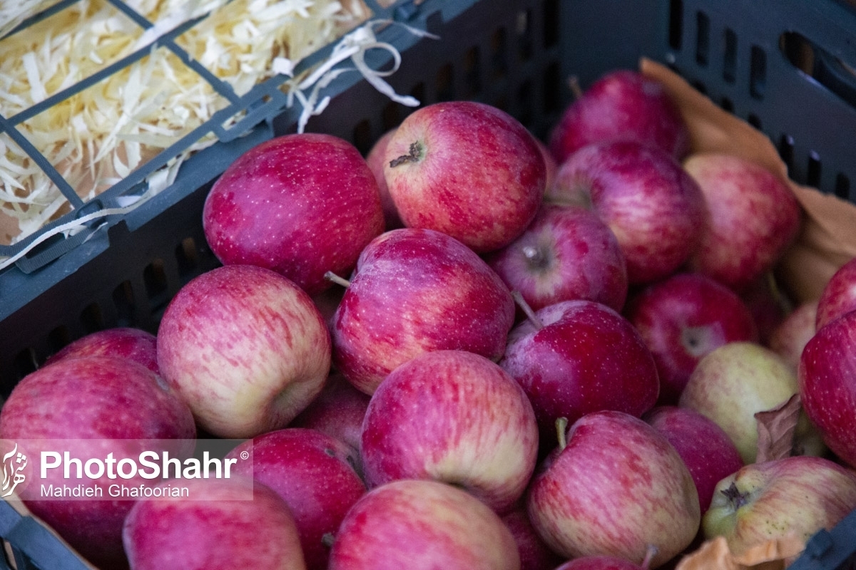 میوه شب عید با ۱۵ درصد تخفیف عرضه می‌شود