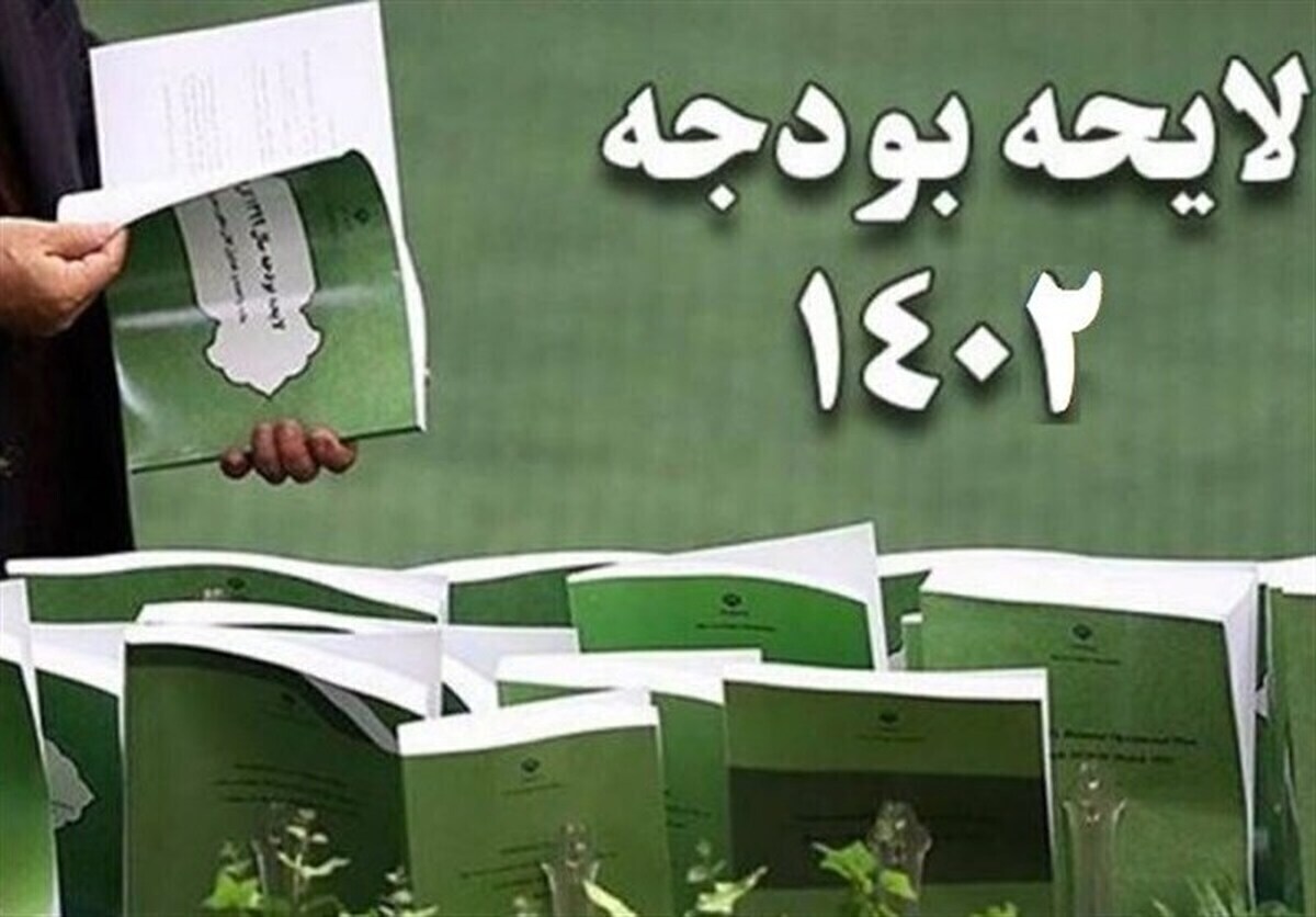 بی‌توجهی دولت به معلولان در بودجه ۱۴۰۲| ارائه پیشنهادی برای برگشت ردیف اعتباری اجرای قانون حمایت از معلولان