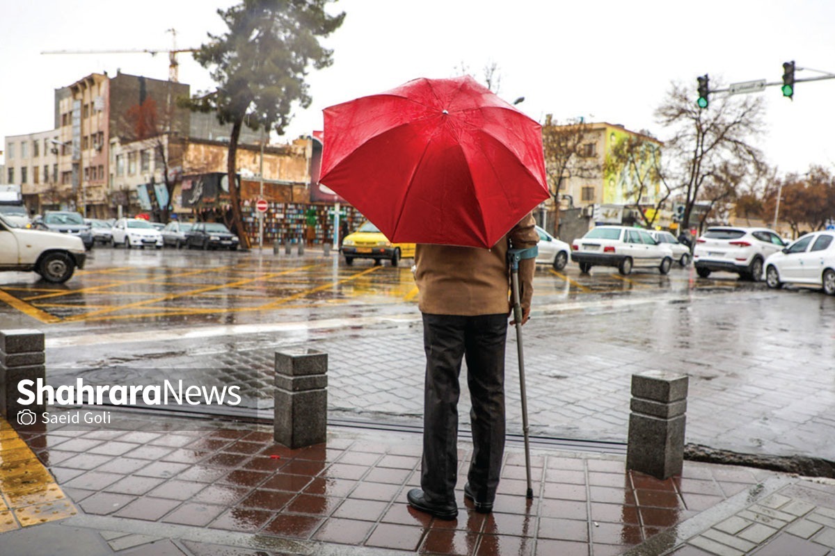 رنگ بهار در خیابان‌های شهر مشهد