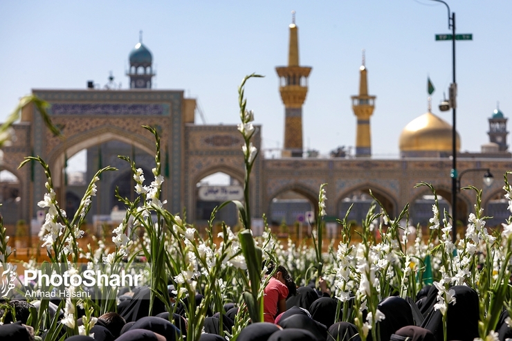 حرم امام رضا (ع) گلباران شد