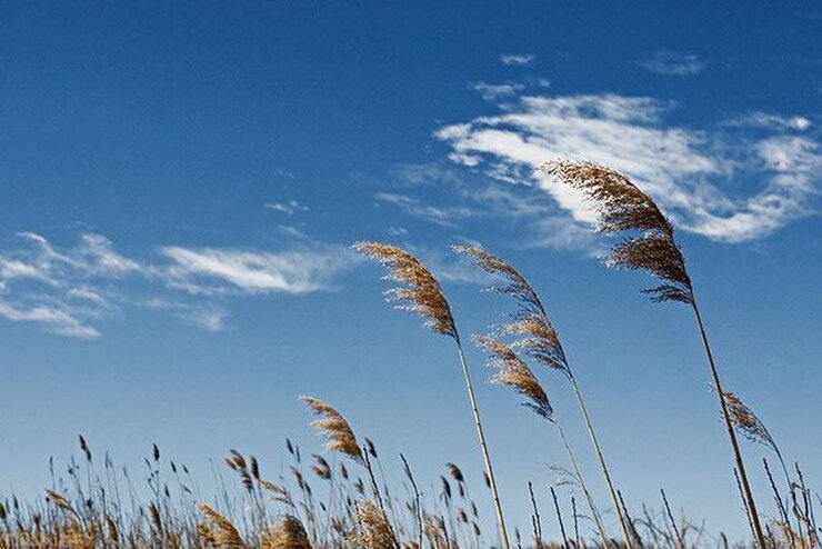 وزش باد شدید در خراسان رضوی (۲۱ تیرماه ۱۴۰۱)