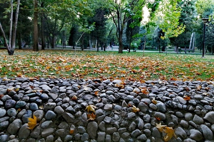 شهروند خبرنگار | برگ‌ریزان تابستانی در پارک ملت مشهد (مرداد ۱۴۰۱)