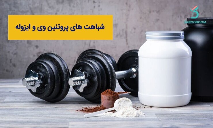 تفاوت بین پروتئین وی و ایزوله چیست؟