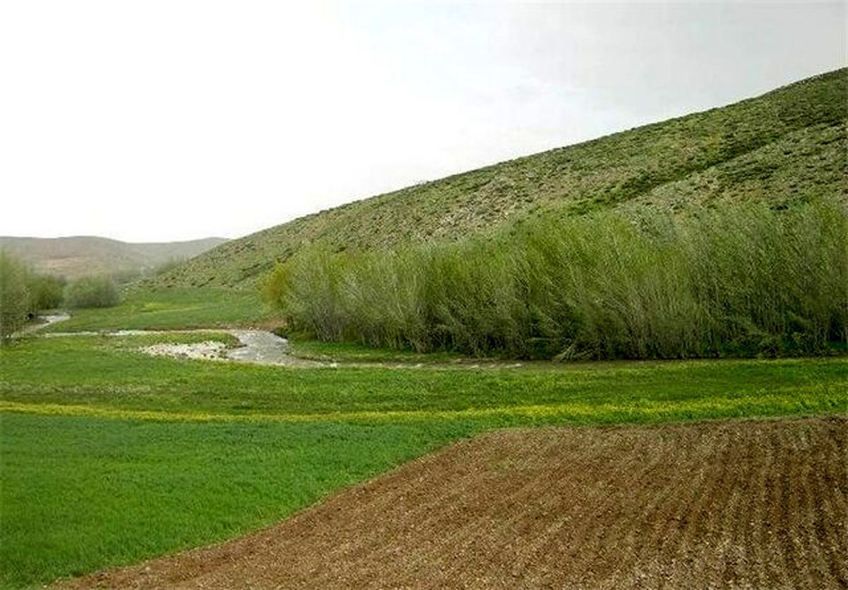 شناسنامه خاک شهرستان های خراسان رضوی رونمایی می شود