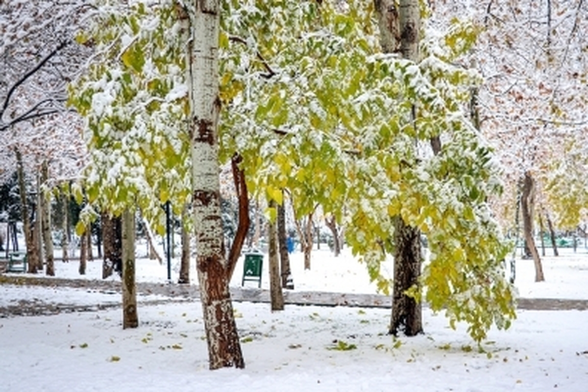 مدارس کدکن خراسان رضوی امروز تعطیل شد (۱۷ دی ۱۴۰۲)