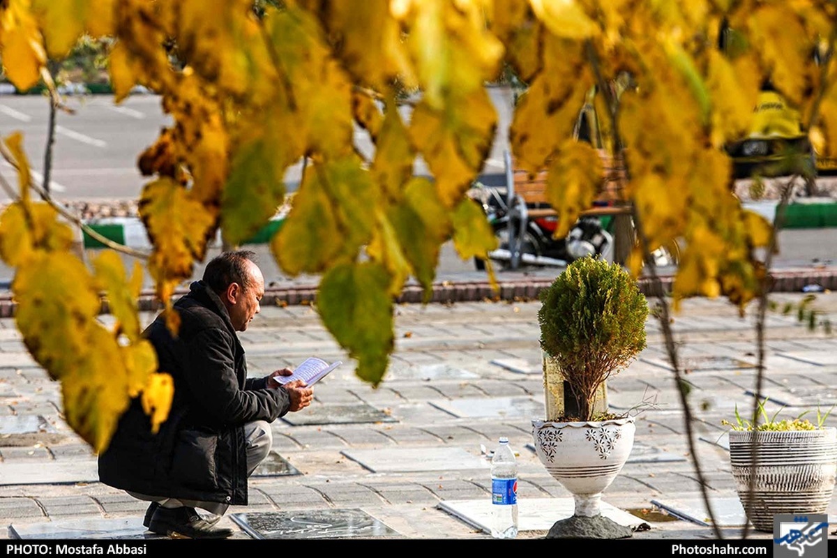 طی هفته گذشته چند نفر در مشهد فوت کردند؟  