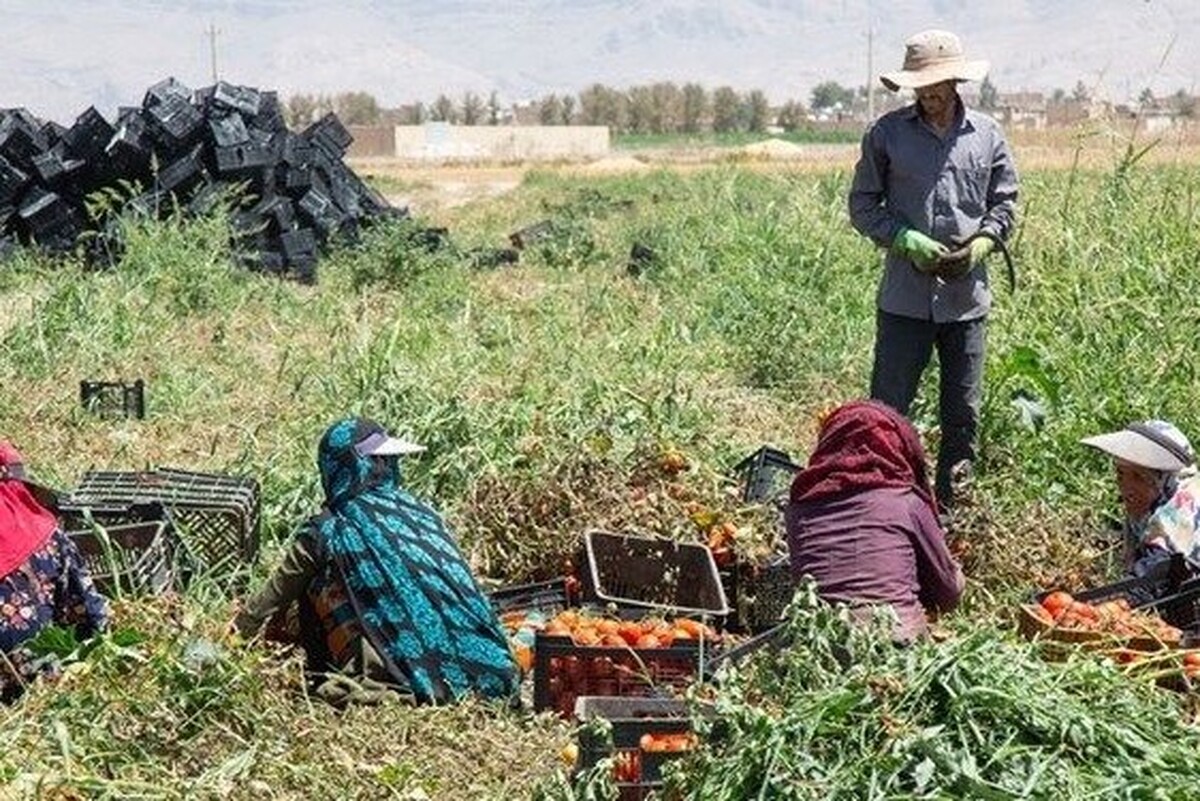 افزایش ۴۳ درصدی مستمری بیمه‌شدگان صندوق روستایی