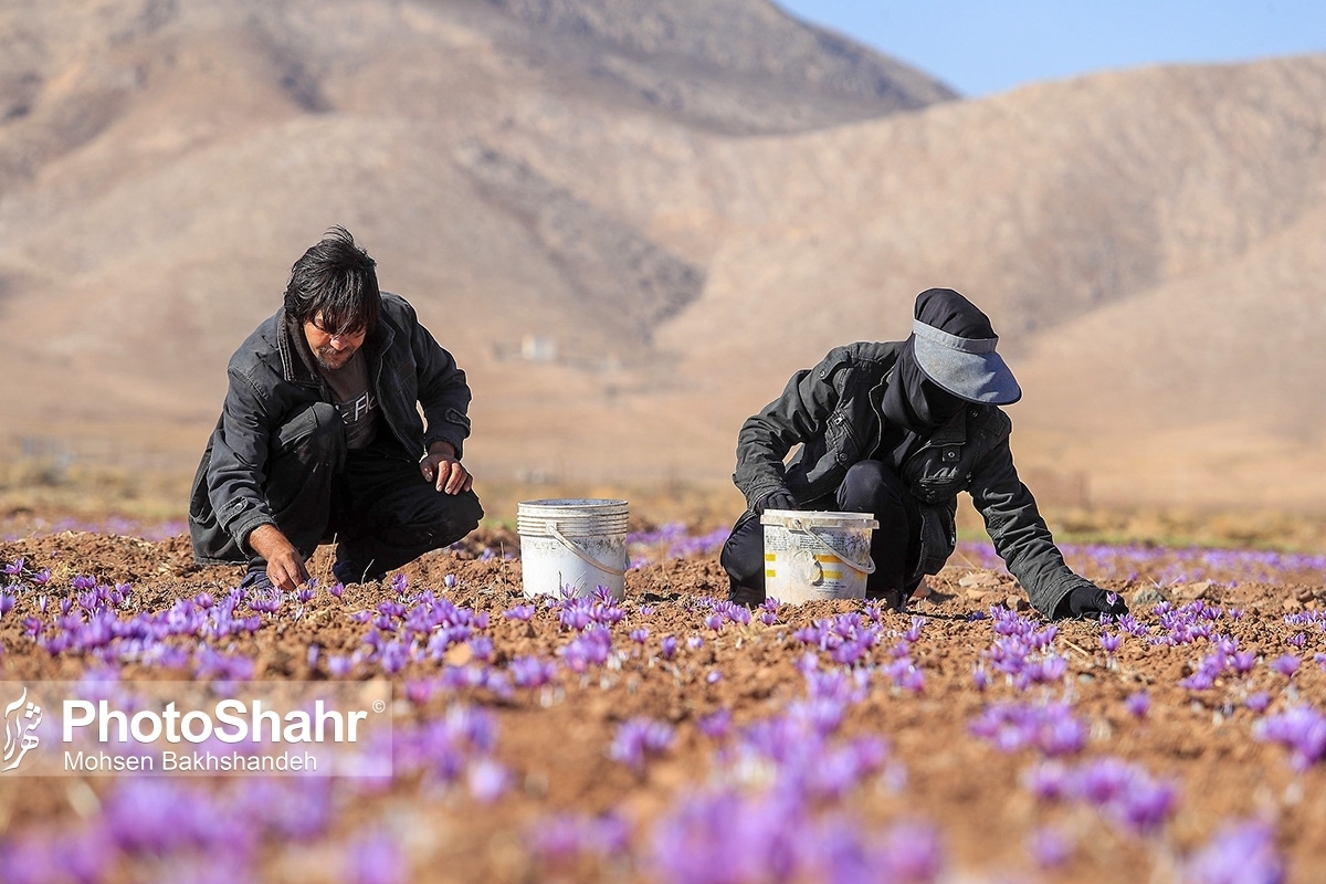 افزایش ۲۰۰ میلیون تومانی وام اشتغال روستایی