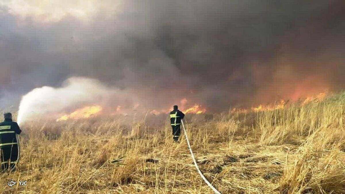 ۱۰۰ هکتار از نیزار‌های تالاب گروس مهاباد طعمه حریق شد