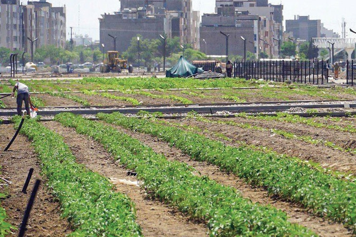 بوستان کشاورز در اختیار شهروند-کشاورزان مشهدی