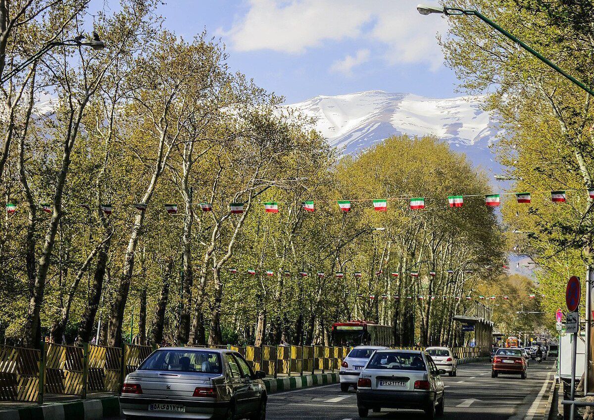 ماجرای انتقال درخت از مشهد به تهران چه بود؟ + فیلم