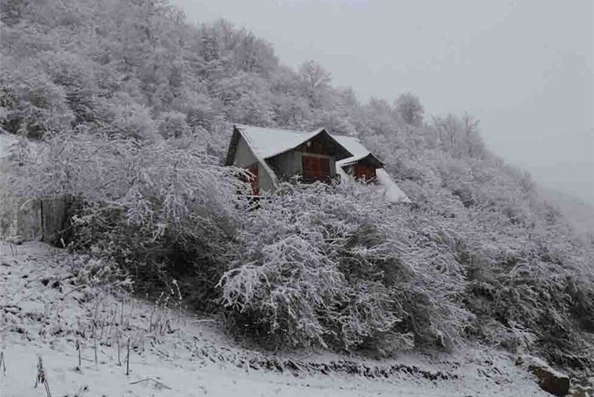 ویدئو| صبح زیبای برفی روستای مریان تالش