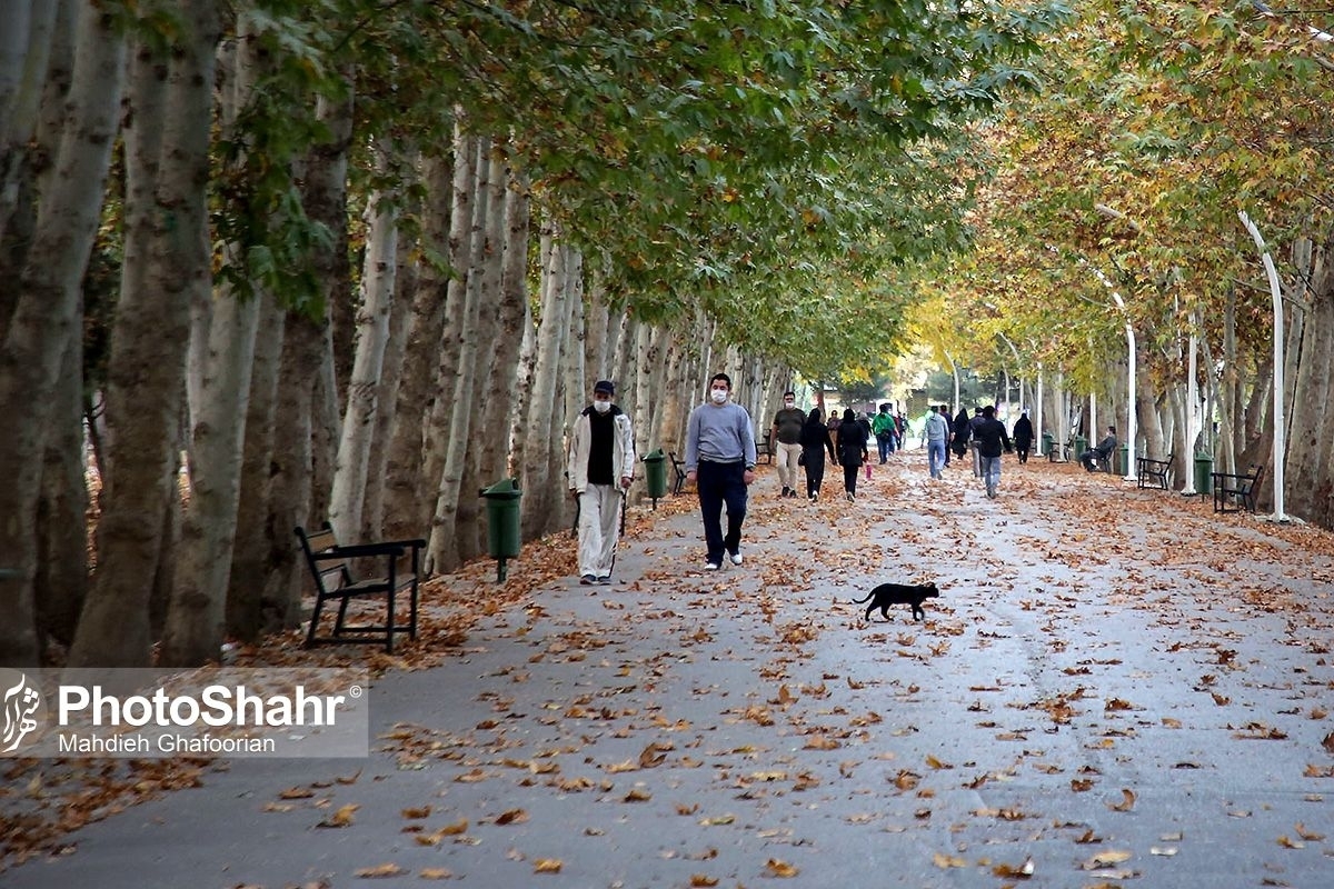 روند تدریجی افزایش دما تا اواسط هفته آینده در خراسان رضوی (۹ آذر ۱۴۰۲)