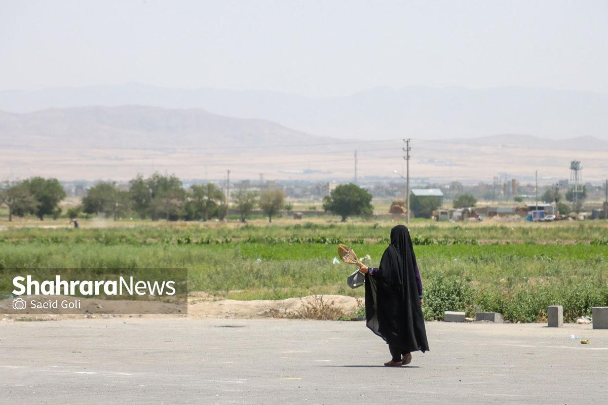 یادی از محله «نیزه» مشهد و نیزار‌های گمشده‌اش