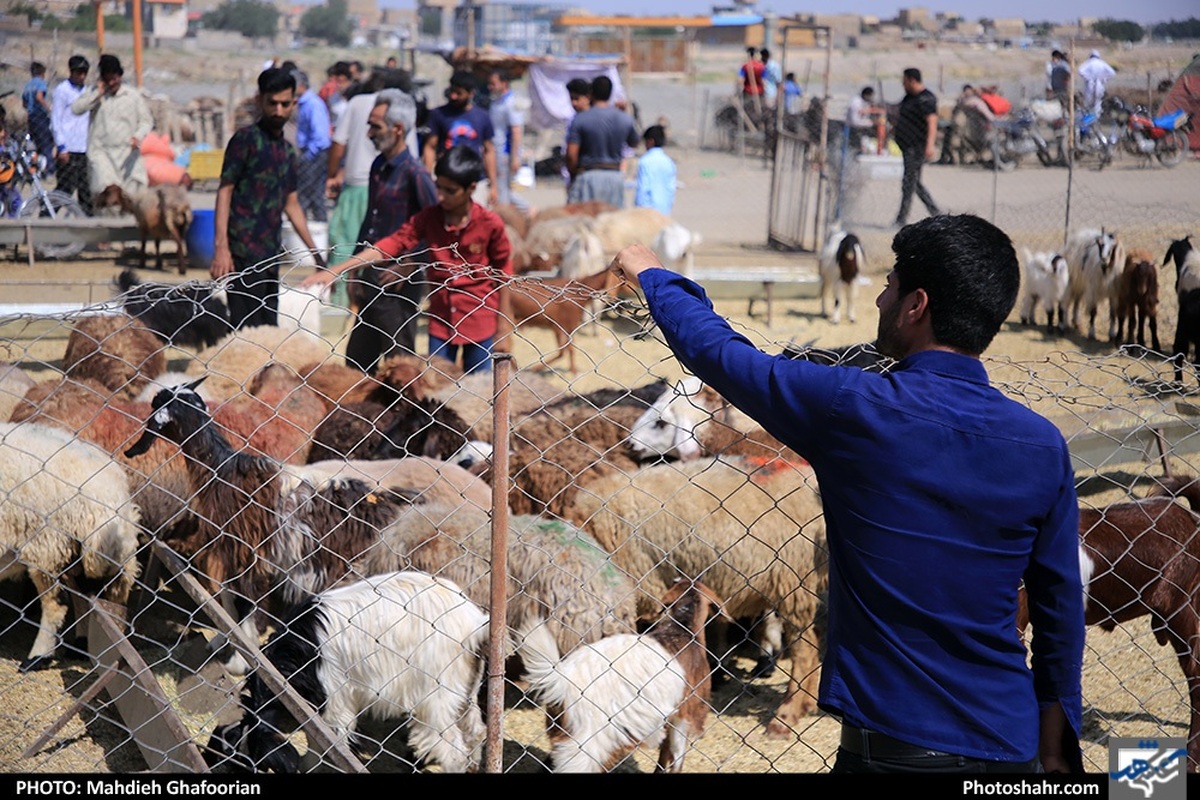 ۶۲۰ مرکز نیکوکاری در خراسان‌رضوی وظیفه جمع‌آوری گوشت قربانی نیکوکاران را برعهده دارند