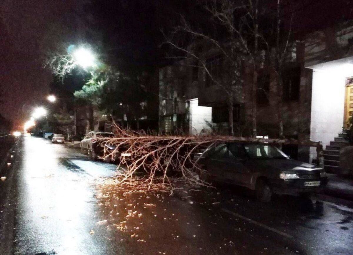 ۴۳ حادثه منجر به عملیات بر اثر طوفان و بارندگی امروز در مشهد (۲۲ تیر ۱۴۰۳)