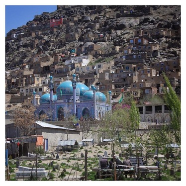 عکس از سید محمدرضا هاشمی